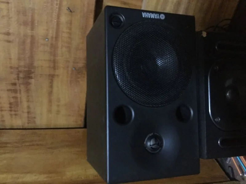 Monitor Yamaha Msp5