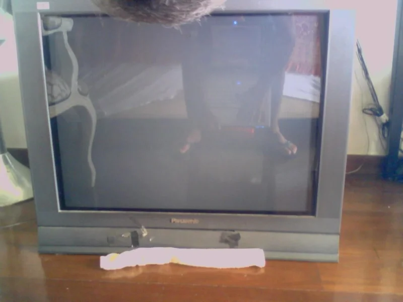 Televisão