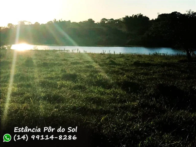 Terrenos Lindos