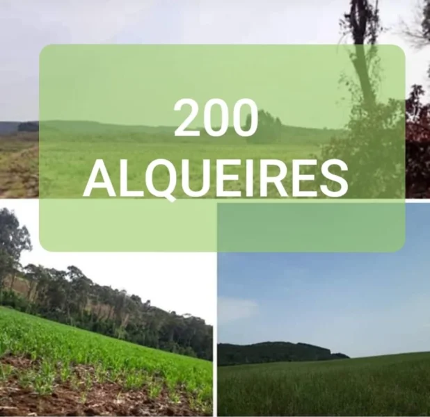 Vendo Fazenda 200 Alqueires Tratar com Roberto