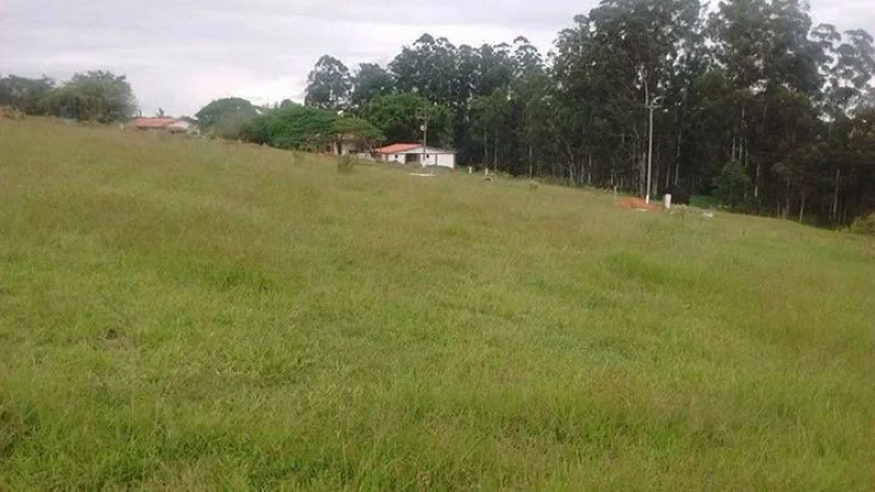 Feirao de Vendas 1000 Metros