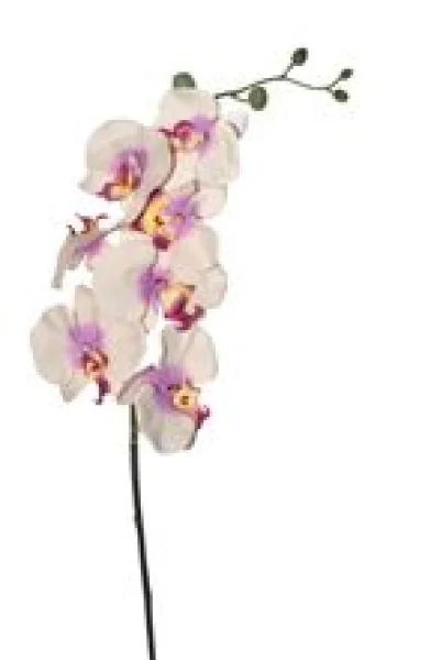 Orquideas Artificiais