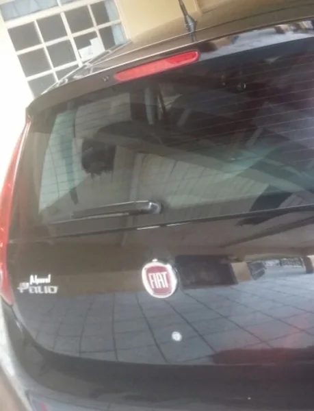Palio Super Novo