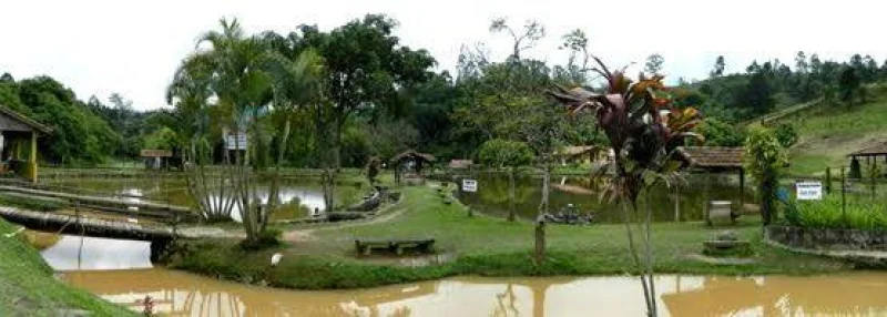 Terreno 1.000 Metros