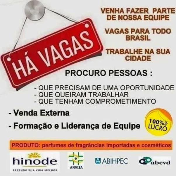 Consultores Hinode