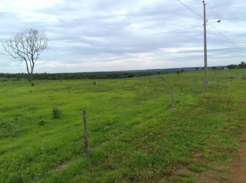Vendo Fazenda 1004 Hectares