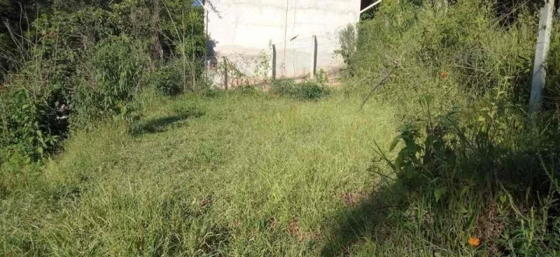 Saia do Aluguel