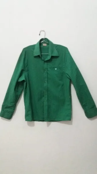 Camisa Zoomp Verde
