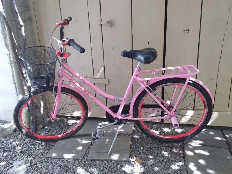 Bicicleta Feminina Rosa