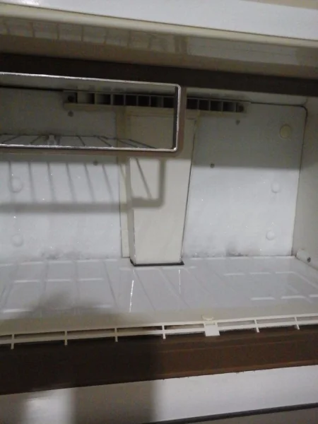Geladeira Brastemp Dúplex Fost Free