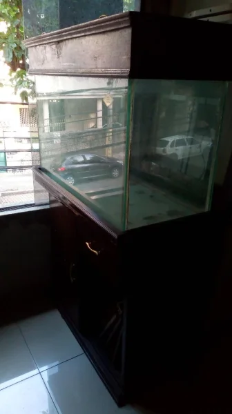 Aquario com Móvel + Filtro Canister+ Filtro Duplo Atman