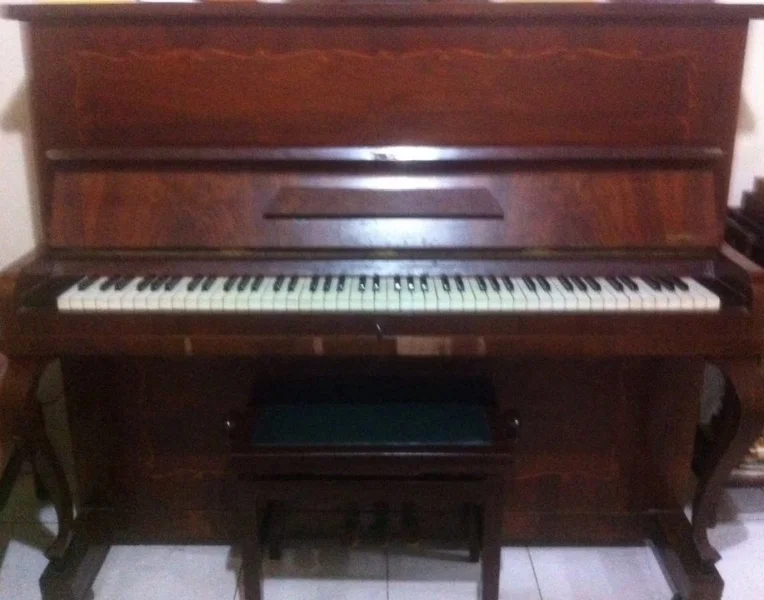 Vendo Piano Fritz Dobbert