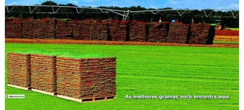 Agro Gramas