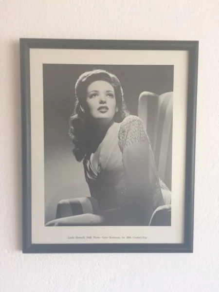 Coleção de Quadros de Fotos de Artistas e Atrizes de Hollywood