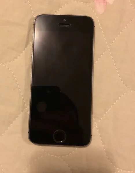 Iphone 5s Cinza Espacial