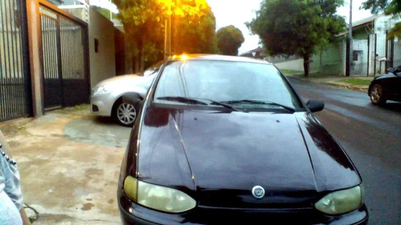 Palio Yung