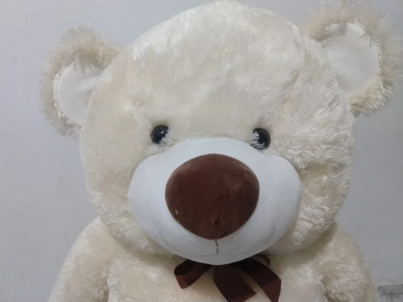 Urso Pelúcia Gigante