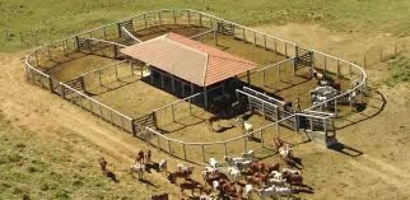 Curral Completo Brasilia