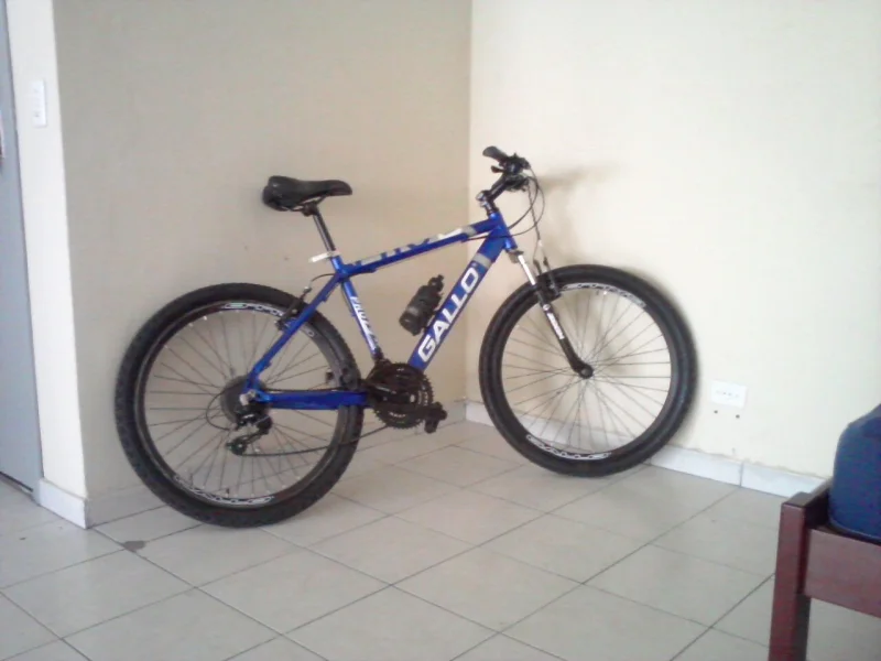 Bicicleta Gallo Argo 26