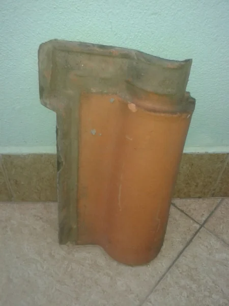 Telhas Portuguesa