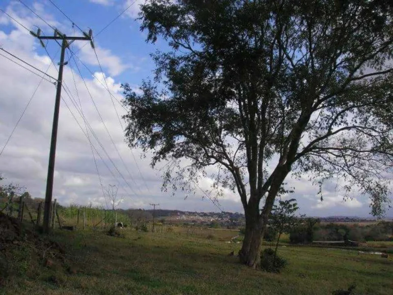 Terreno Rural