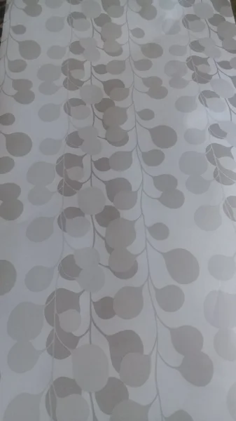 Papel de Parede sem Uso