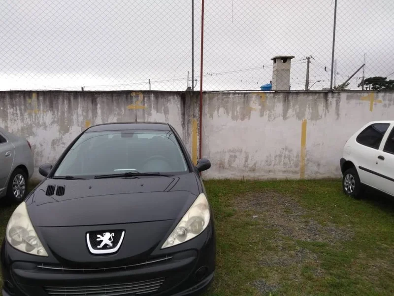 Peugeot 207 Passion Xs 1.6 16v (flex) 2009