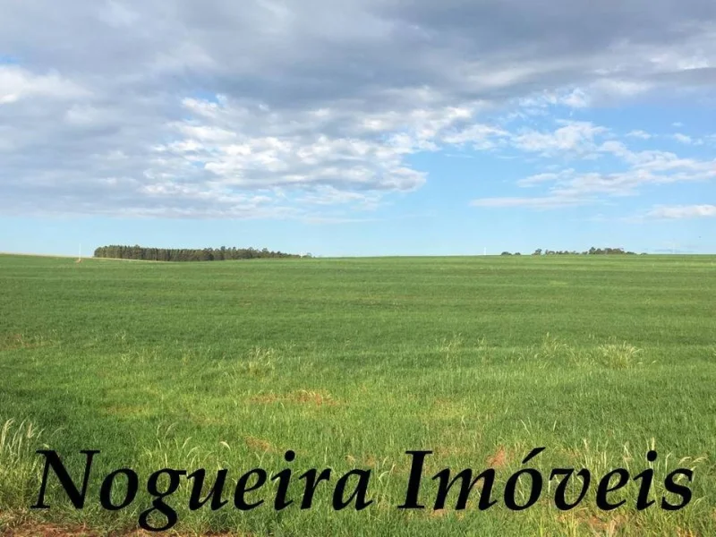 Fazenda com 64 Alqueires, Terra Vermelha (nogueira Imóveis Rurais)