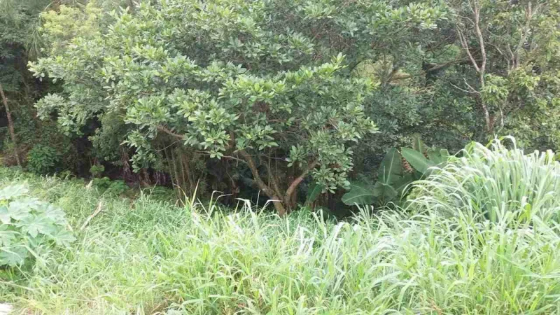 Terreno 300 m2 com Escritura em Vale do Igapó Bauru