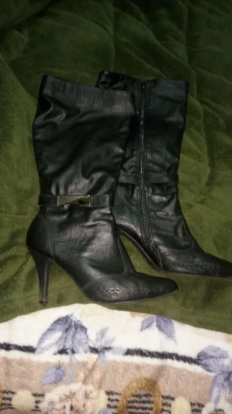 Bota