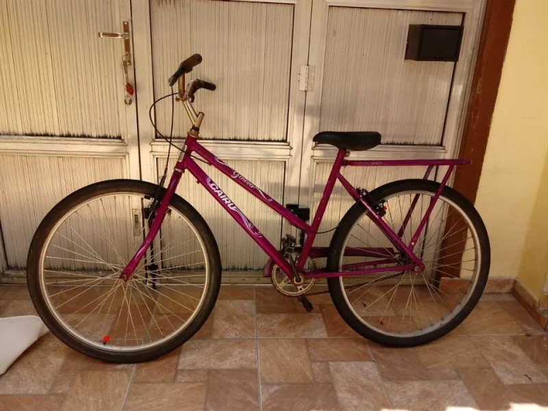 Bicicleta Adulto