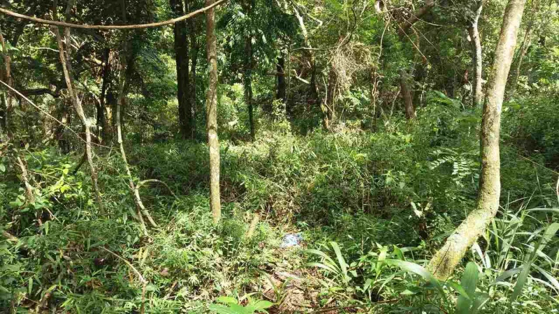 Terreno com 1.000 m2 em S. Pedro Sant. Parnaíba Facilitado