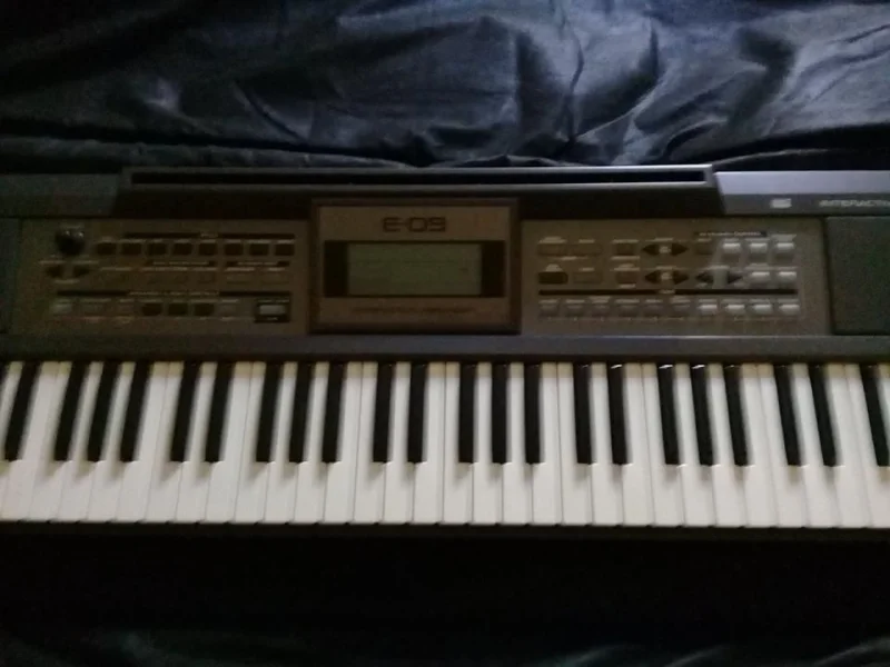Teclado Profissional Arranjador Roland E-09