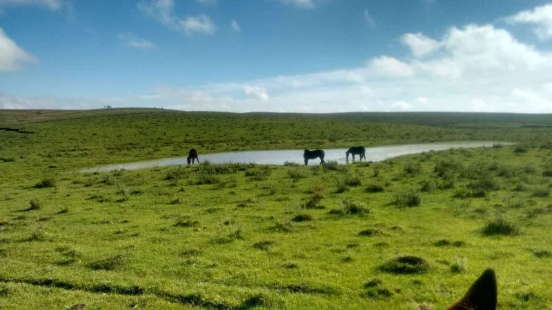 Vendo Campo