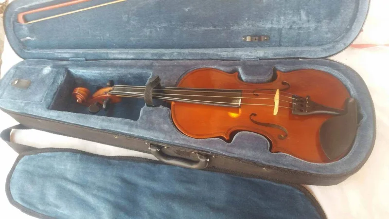 Violino