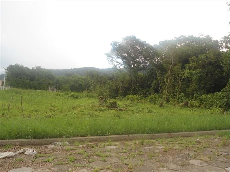 Terreno Escriturado à Venda em Itanhaém