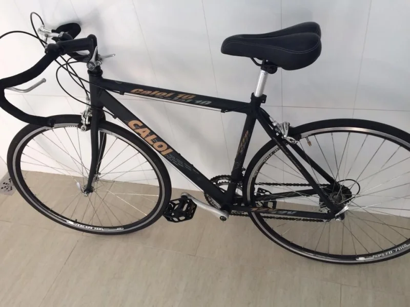 Caloi 10 Speed