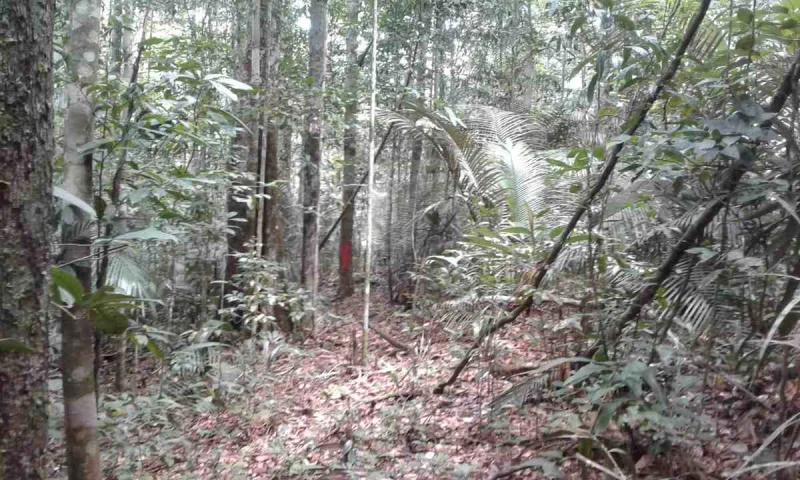 Terreno na Am010 Km 35