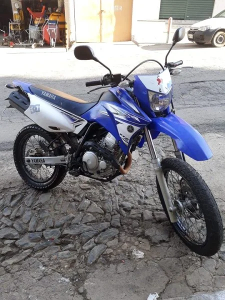 Lander Filé