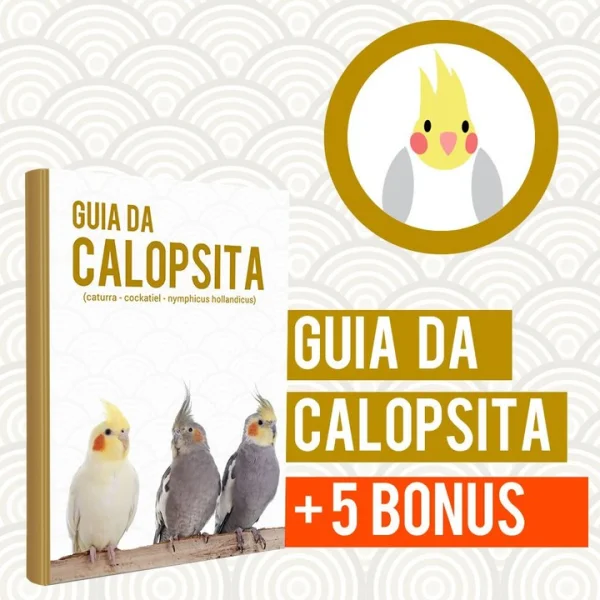 Guia da Calopsita