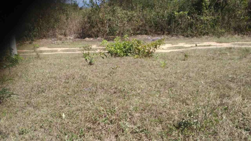 Terreno em Itaborí