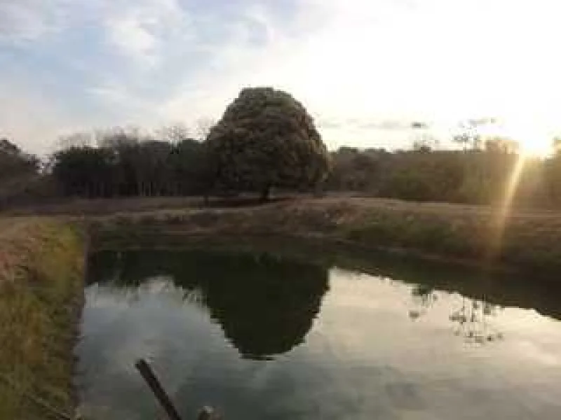 Chácara com Tanques de Peixes