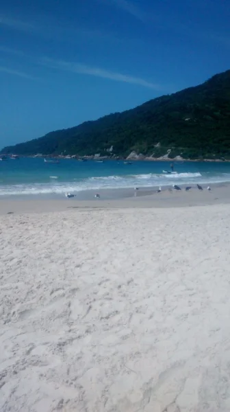 Temporada 2018/2019 Ingleses Florianópolis