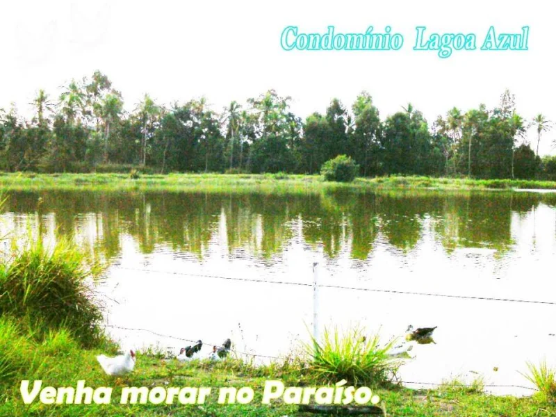 Guaratiba / Brisa Terreno Plano em Frente a uma Linda Lagoa Condomínio Fechado