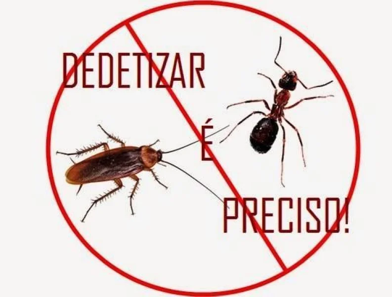 Dedetizadora Especializada em Serviços de Dedetização, Descupinização e Desratização