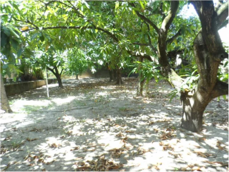 Terreno com 337 m2 em Jaboatão dos Guararapes - Piedade por 350.000,00 à Venda