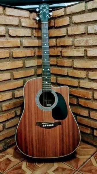 Violão Elétrico Hofma Hmf250 Stnt com Cordas de Aço