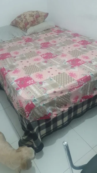 Tá Saindo Quase de Graça