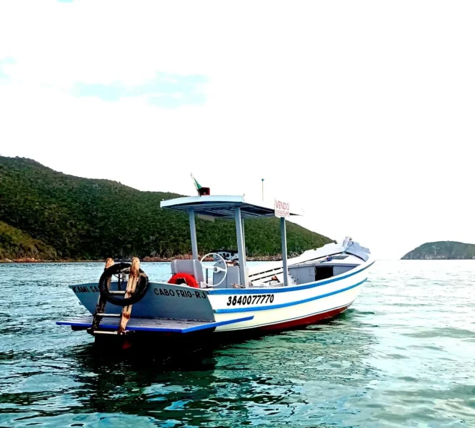 Vendo barco estilo lancha