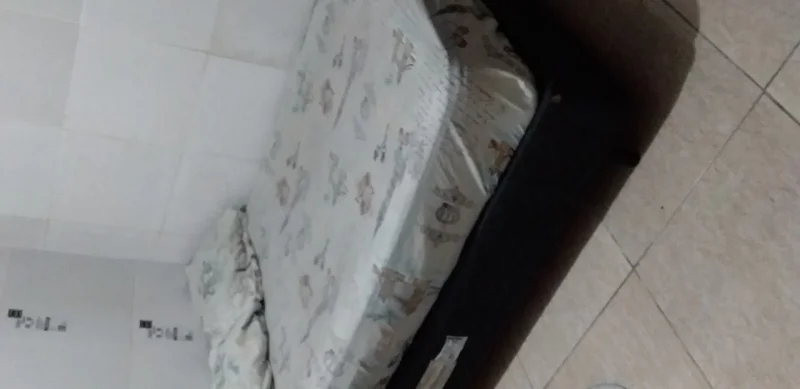 Cama Box